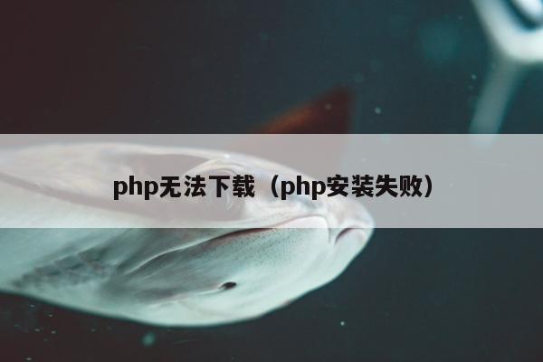 php无法下载（php安装失败）