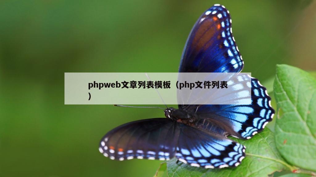 phpweb文章列表模板（php文件列表）