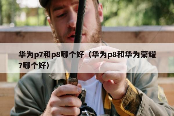 华为p7和p8哪个好（华为p8和华为荣耀7哪个好）