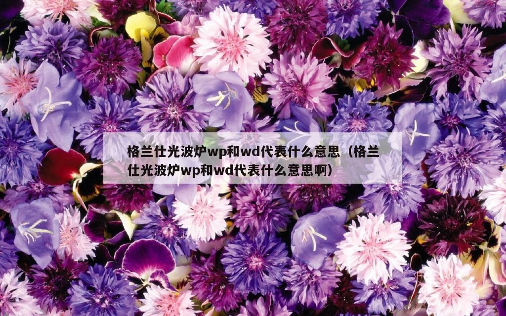 格兰仕光波炉wp和wd代表什么意思（格兰仕光波炉wp和wd代表什么意思啊）