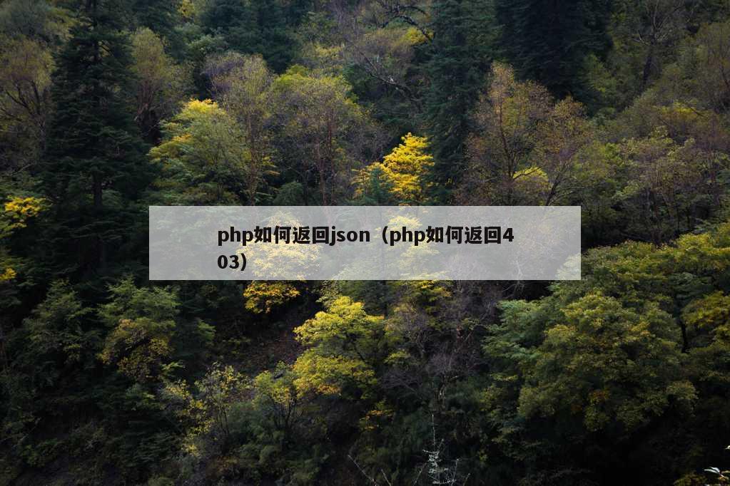 php如何返回json（php如何返回403）