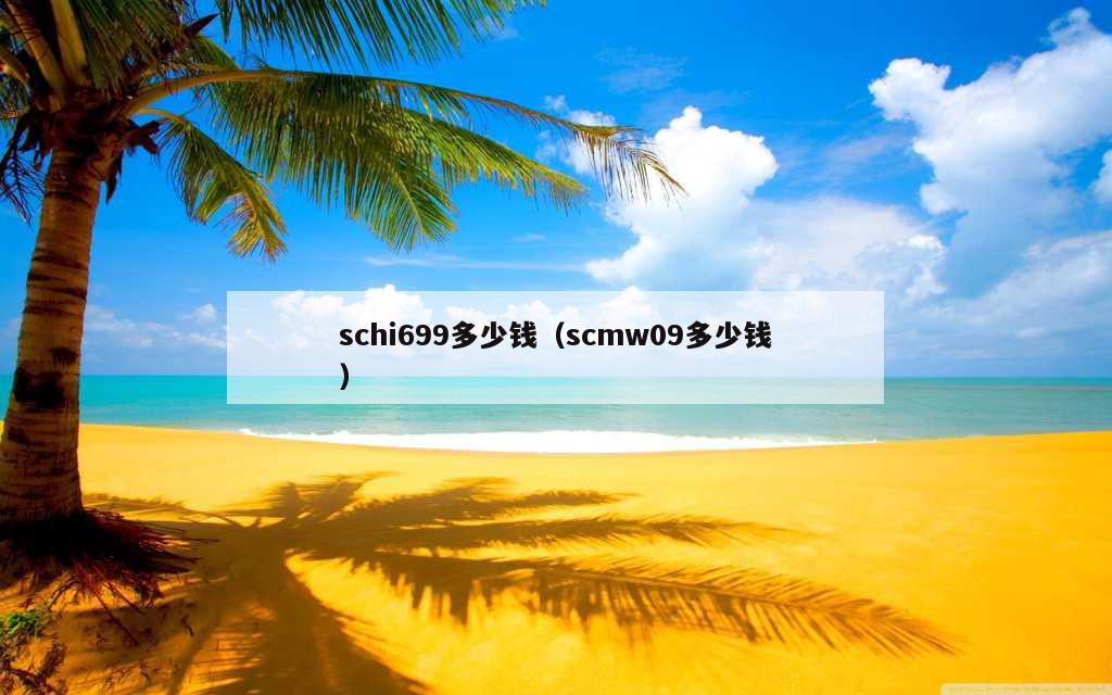 schi699多少钱（scmw09多少钱）