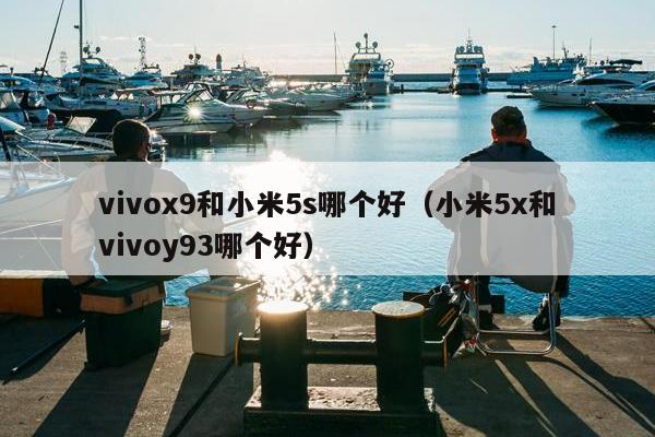 vivox9和小米5s哪个好（小米5x和vivoy93哪个好）