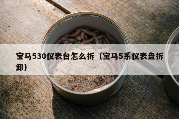 宝马530仪表台怎么拆（宝马5系仪表盘拆卸）