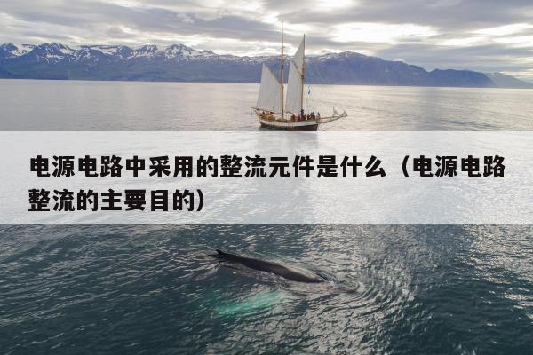 电源电路中采用的整流元件是什么（电源电路整流的主要目的）