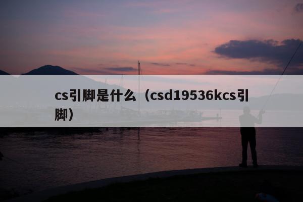 cs引脚是什么（csd19536kcs引脚）