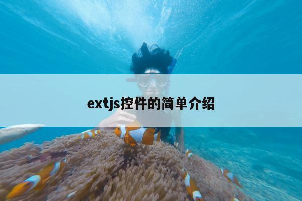 extjs控件的简单介绍