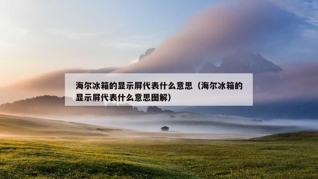 海尔冰箱的显示屏代表什么意思（海尔冰箱的显示屏代表什么意思图解）