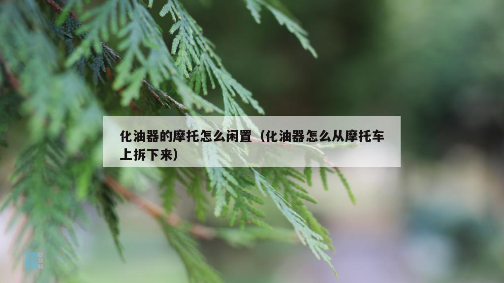 化油器的摩托怎么闲置（化油器怎么从摩托车上拆下来）