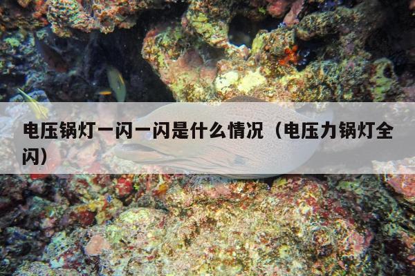 电压锅灯一闪一闪是什么情况（电压力锅灯全闪）