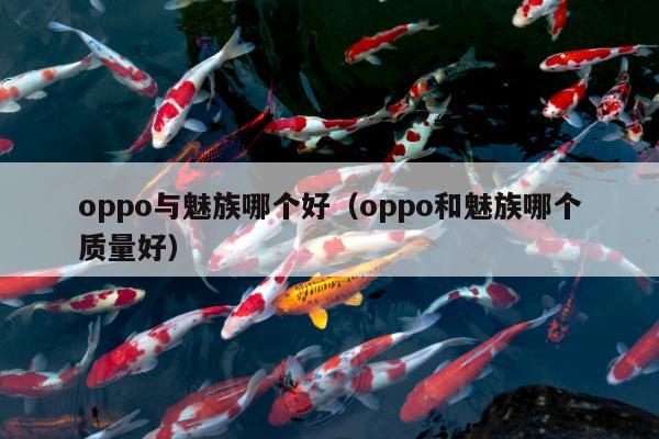 oppo与魅族哪个好（oppo和魅族哪个质量好）