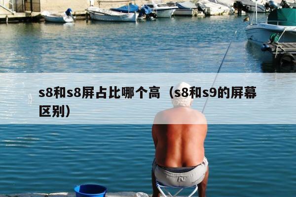 s8和s8屏占比哪个高（s8和s9的屏幕区别）