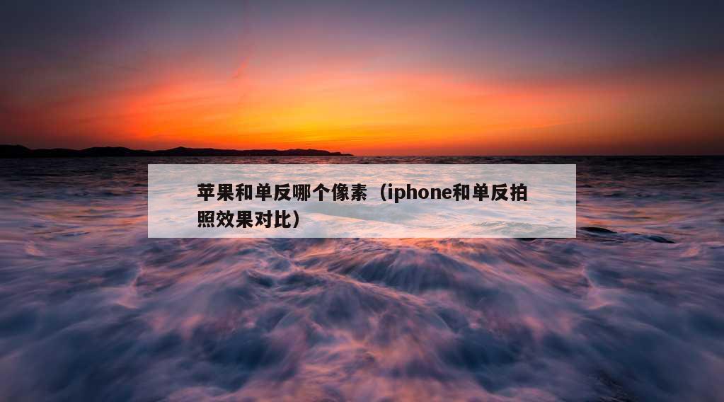 苹果和单反哪个像素（iphone和单反拍照效果对比）