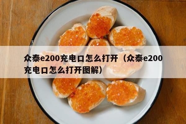 众泰e200充电口怎么打开（众泰e200充电口怎么打开图解）