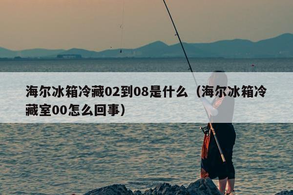 海尔冰箱冷藏02到08是什么（海尔冰箱冷藏室00怎么回事）