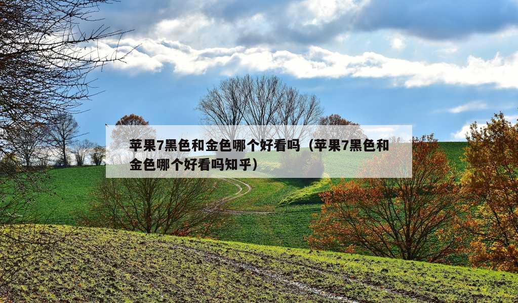 苹果7黑色和金色哪个好看吗（苹果7黑色和金色哪个好看吗知乎）