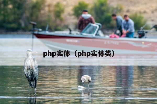 php实体（php实体类）