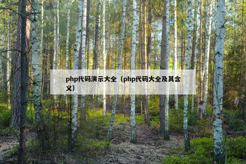 php代码演示大全（php代码大全及其含义）