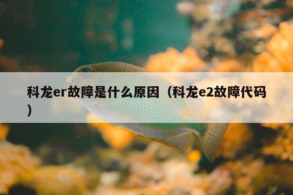 科龙er故障是什么原因（科龙e2故障代码）