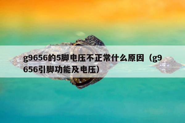 g9656的5脚电压不正常什么原因（g9656引脚功能及电压）