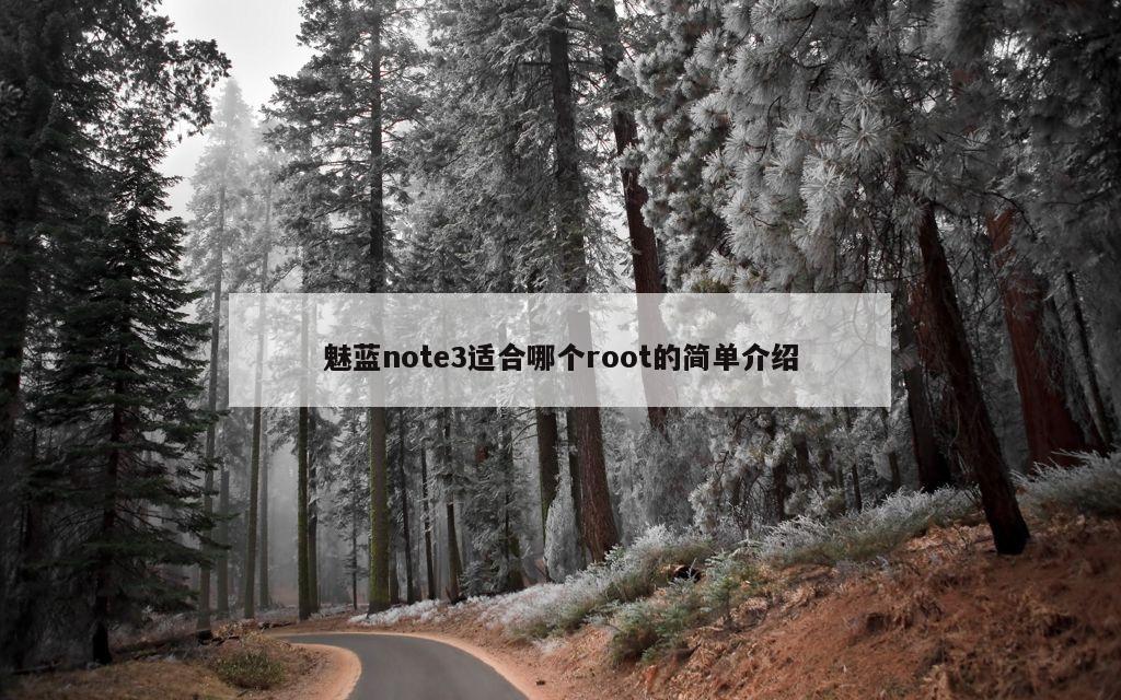 魅蓝note3适合哪个root的简单介绍