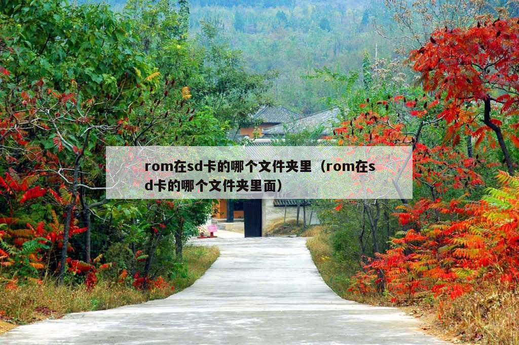 rom在sd卡的哪个文件夹里（rom在sd卡的哪个文件夹里面）