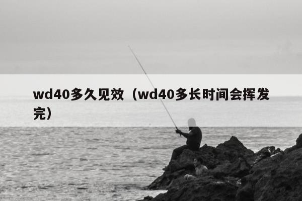 wd40多久见效（wd40多长时间会挥发完）