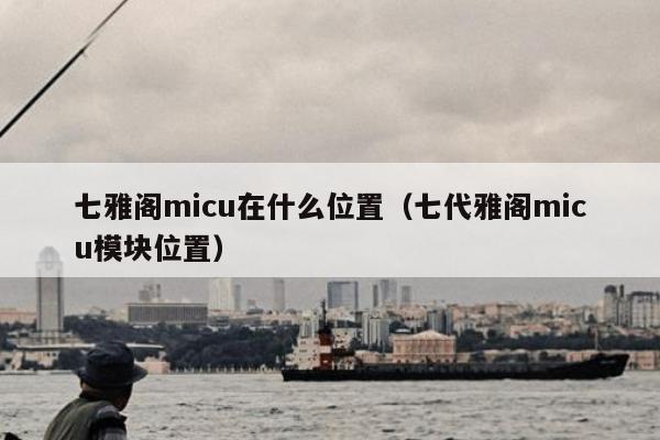 七雅阁micu在什么位置（七代雅阁micu模块位置）