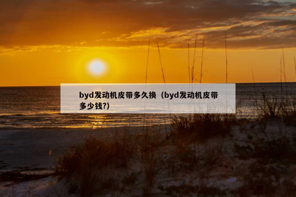 byd发动机皮带多久换（byd发动机皮带多少钱?）