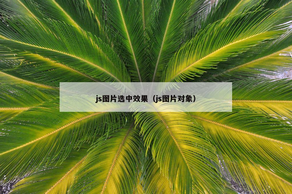 js图片选中效果（js图片对象）