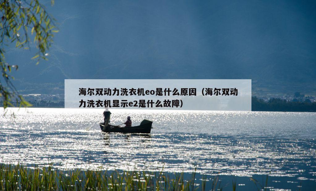 海尔双动力洗衣机eo是什么原因（海尔双动力洗衣机显示e2是什么故障）