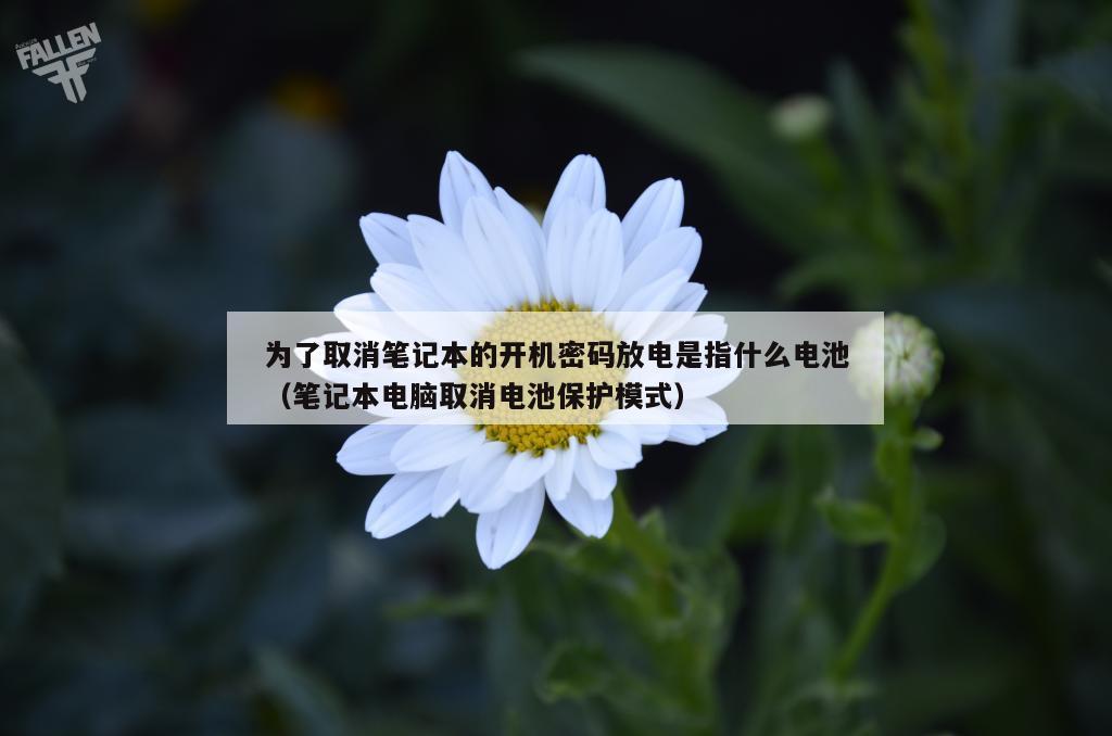 为了取消笔记本的开机密码放电是指什么电池（笔记本电脑取消电池保护模式）