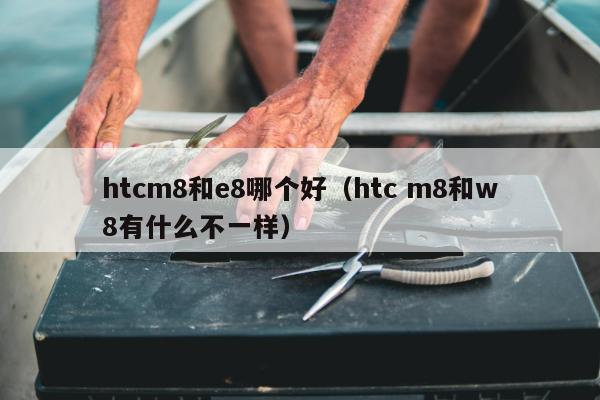 htcm8和e8哪个好（htc m8和w8有什么不一样）