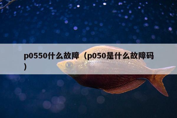 p0550什么故障（p050是什么故障码）