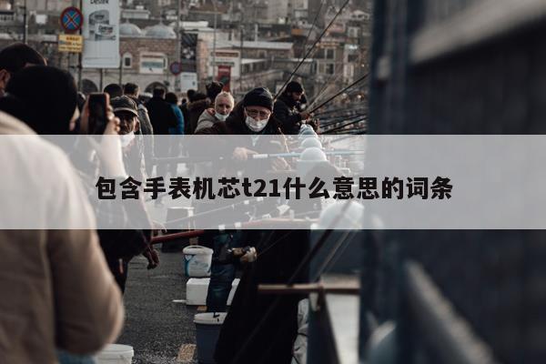 包含手表机芯t21什么意思的词条