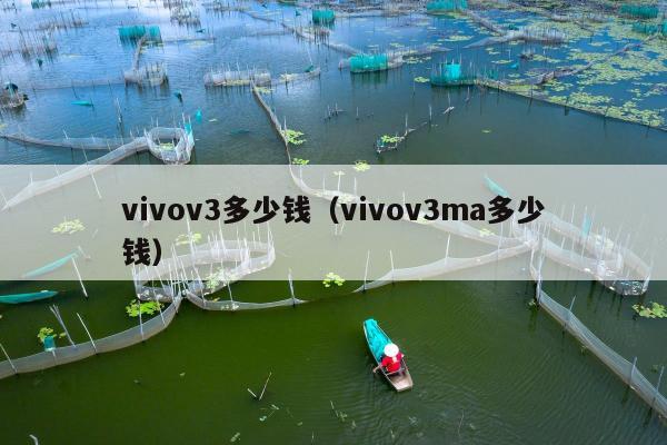 vivov3多少钱（vivov3ma多少钱）