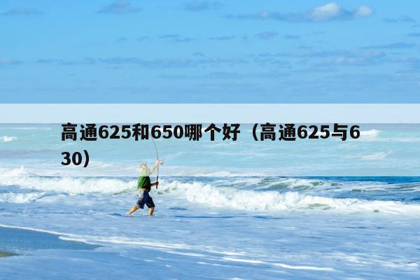 高通625和650哪个好（高通625与630）