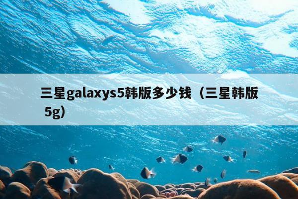 三星galaxys5韩版多少钱（三星韩版 5g）