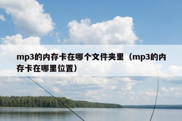 mp3的内存卡在哪个文件夹里（mp3的内存卡在哪里位置）