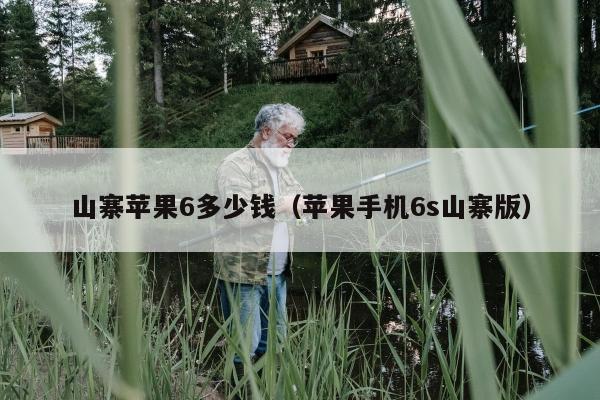 山寨苹果6多少钱（苹果手机6s山寨版）