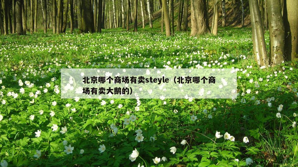 北京哪个商场有卖steyle（北京哪个商场有卖大鹅的）