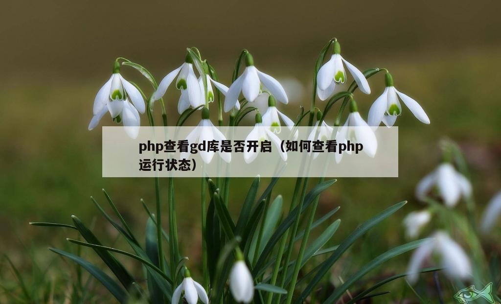 php查看gd库是否开启（如何查看php运行状态）