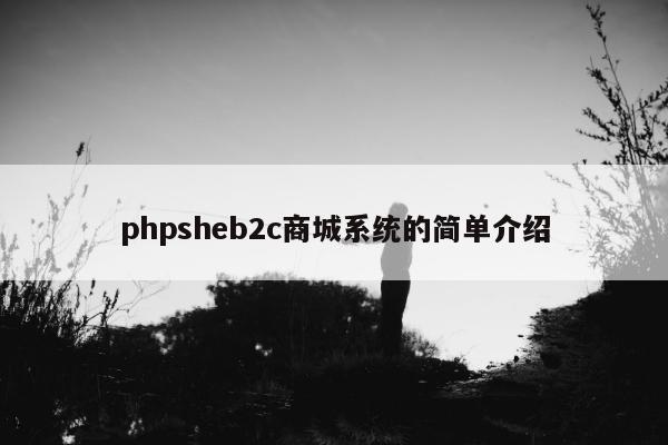 phpsheb2c商城系统的简单介绍