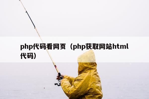 php代码看网页（php获取网站html代码）