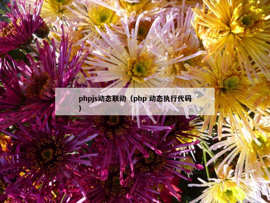 phpjs动态联动（php 动态执行代码）