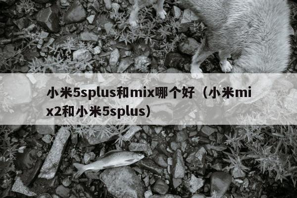 小米5splus和mix哪个好（小米mix2和小米5splus）