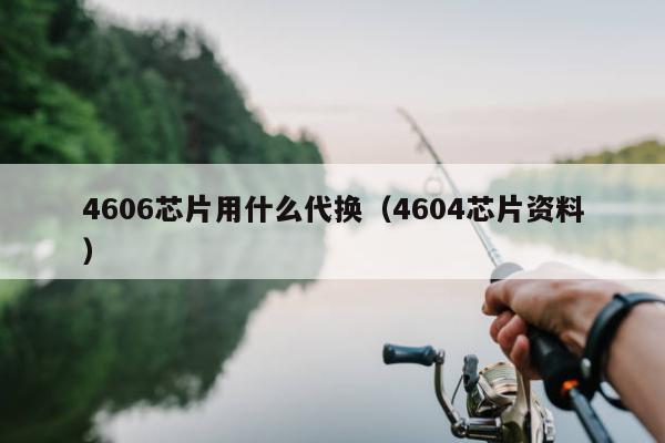 4606芯片用什么代换（4604芯片资料）