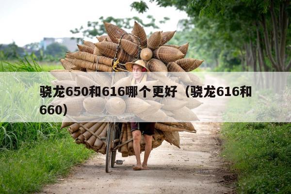 骁龙650和616哪个更好（骁龙616和660）