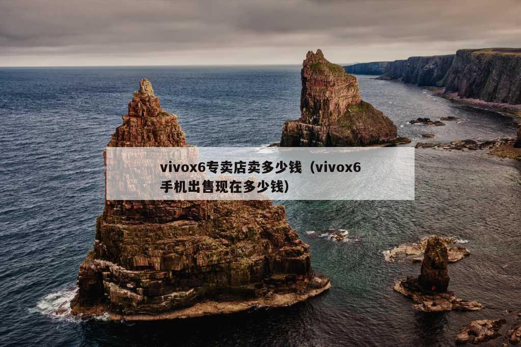 vivox6专卖店卖多少钱（vivox6手机出售现在多少钱）