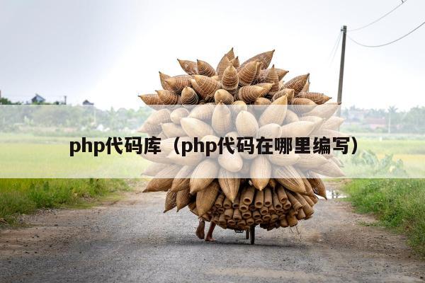 php代码库（php代码在哪里编写）